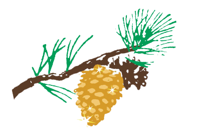 Chiropractic Monterey CA Pinecone Chiropractic Monterey CA Pinecone
