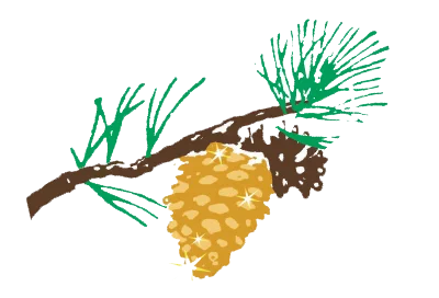 Chiropractic Monterey CA Pinecone Chiropractic Monterey CA Pinecone